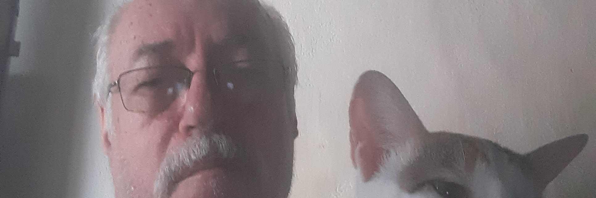 PROGRAMA: DARCIO ARNALDI - SEG A SEXTA - 11:00 às 13:00h - RITMUSFM